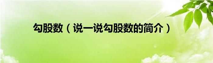 说一说勾股数的简介_勾股数(勾股数)