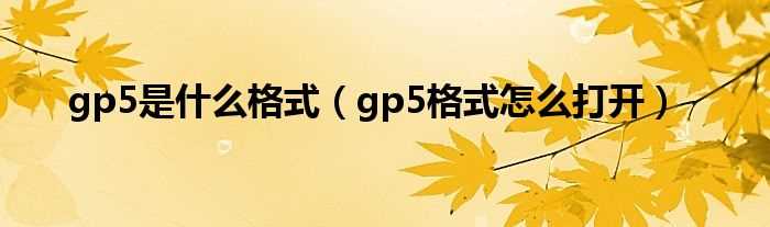 gp5格式怎么打开_gp5是什么格式?(gp5)