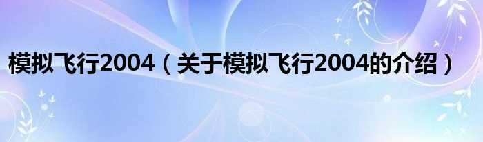 关于模拟飞行2004的介绍_模拟飞行2004(模拟飞行2004)