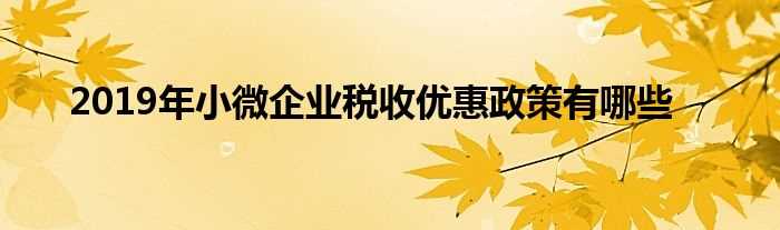 2019年小微企业税收优惠政策有哪些?(2019小微企业增值税优惠政策)