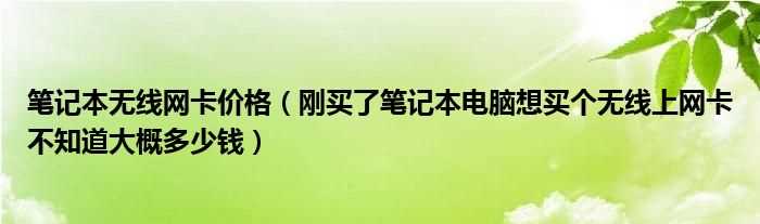 刚买了笔记本电脑想买个无线上网卡不知道大概多少钱_笔记本无线网卡价格?(笔记本无线网卡价格)