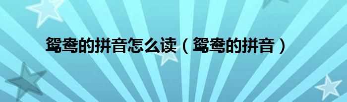 鸳鸯的拼音_鸳鸯的拼音怎么读?(鸳鸯的拼音)