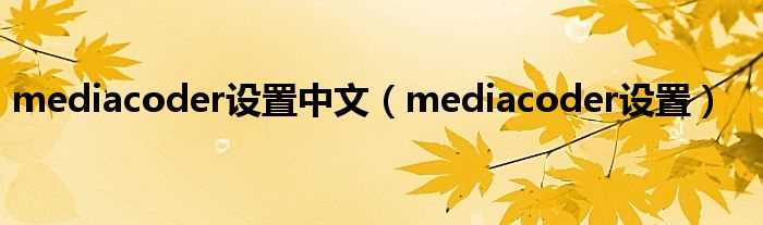 mediacoder设置_mediacoder设置中文(mediacoder设置)