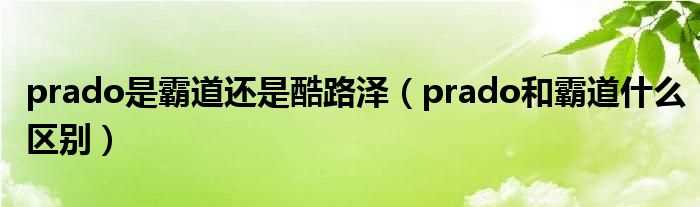 prado和霸道什么区别_prado是霸道还是酷路泽?(prado是什么意思)