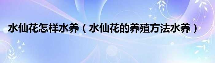 水仙花的养殖方法水养_水仙花怎么样水养?(水仙)