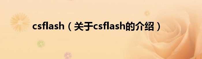 关于csflash的介绍_csflash(csflash)