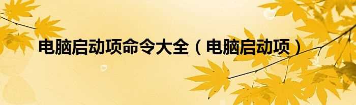 电脑启动项_电脑启动项命令大全(电脑启动项)