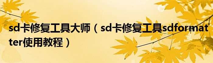 sd卡修复工具sdformatter使用教程_sd卡修复工具大师(sd卡修复工具)