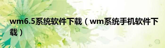 wm系统手机软件下载_wm6.5系统软件下载(wm系统手机软件下载)