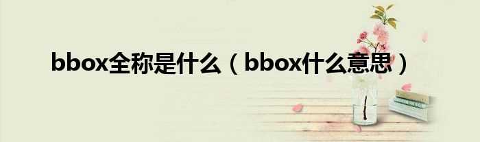 bbox什么意思_bbox全称是什么?(b.box)