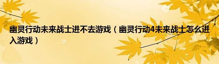 幽灵行动4未来战士怎么进入游戏_幽灵行动未来战士进不去游戏?(幽灵行动4未来战士进不去)