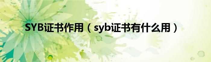 syb证书有什么作用_SYB证书作用?(syb)