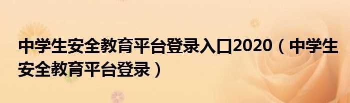 中学生安全教育平台登录_中学生安全教育平台登录入口2020(安全教育平台入口登录)