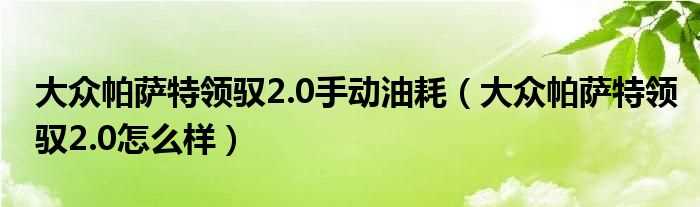 大众帕萨特领驭2.0怎么样_大众帕萨特领驭2.0手动油耗?(帕萨特领驭2.0)