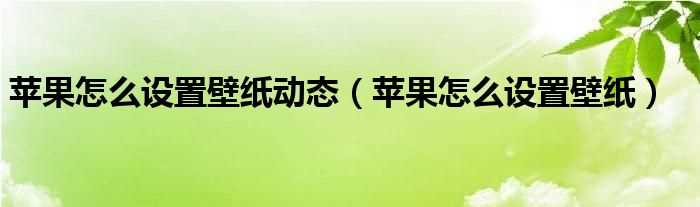 苹果怎么设置壁纸_苹果怎么设置壁纸动态?(苹果怎么设置动态壁纸)