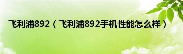 飞利浦892手机性能怎么样_飞利浦892?(飞利浦892)