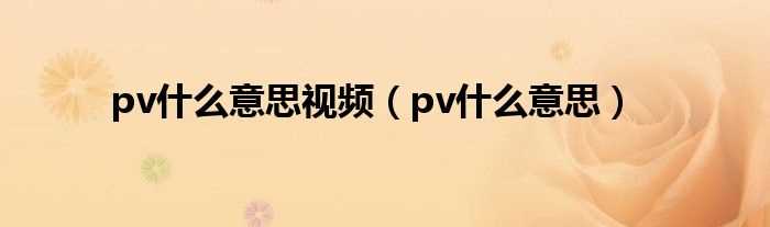 pv什么意思_pv什么意思视频?(pv)