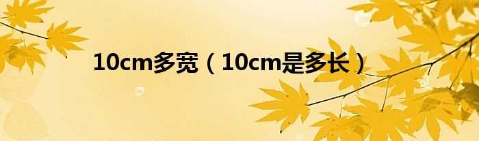 10cm是多长_10cm多宽(10cm)