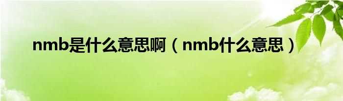 nmb什么意思_nmb是什么意思啊?(nmb)