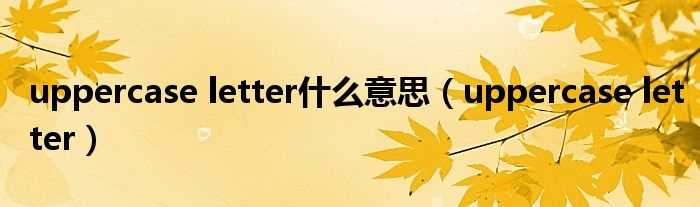 uppercase_letter_uppercase_letter什么意思?(uppercase letter)