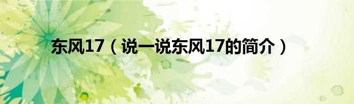 说一说东风17的简介_东风17(东风17)