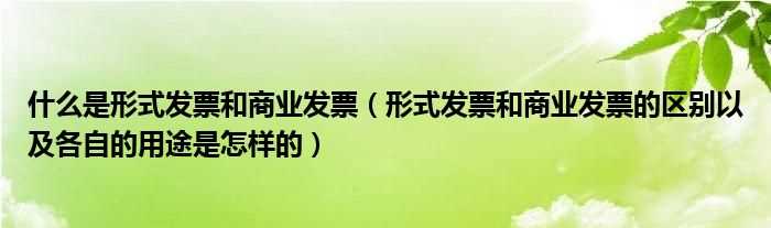 形式发票和商业发票的区别以及各自的用途是怎么样的_什么是形式发票和商业发票?(形式发票)