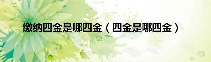 四金是哪四金_缴纳四金是哪四金?(四金)