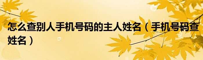 手机号码查姓名_怎么查别人手机号码的主人姓名?(免费查询手机号主人)