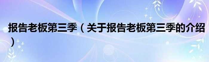 关于报告老板第三季的介绍_报告老板第三季(报告老板3)