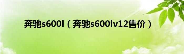 奔驰s600lv12售价_奔驰s600l(奔驰s600l)