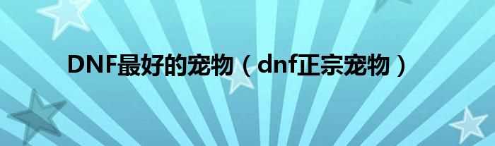 dnf正宗宠物_DNF最好的宠物(dnf正宗宠物)