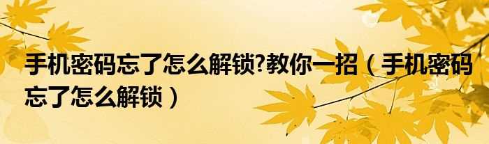 手机密码忘了怎么解锁_手机密码忘了怎么解锁?教你一招?(手机密码忘了怎么解锁?教你一招)