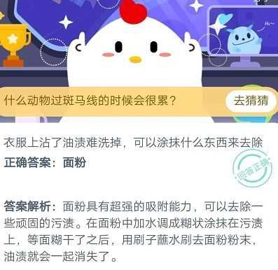 衣服上沾了油渍难洗掉可以涂抹什么东西来去除？