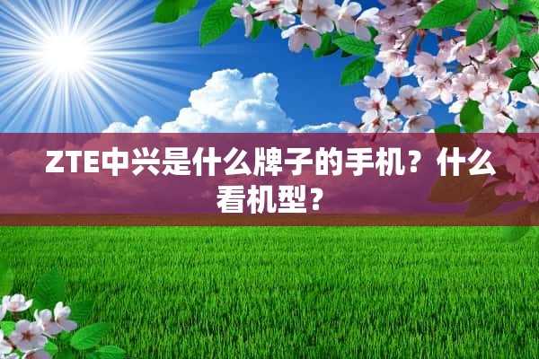 ZTE中兴是什么牌子的手机？什么看机型？(中兴手机属于什么牌子)?