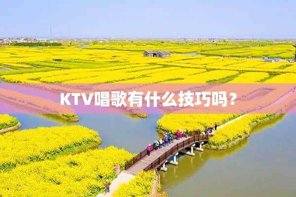 KTV唱歌有什么技巧吗?？(去ktv唱歌有什么技巧)?