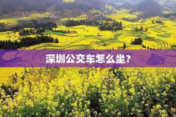 深圳公交车怎么坐?(在深圳怎么样坐公交车)?