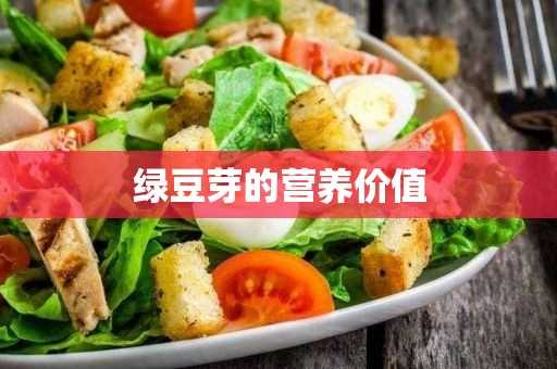 绿豆芽的营养价值_绿豆芽的营养价值