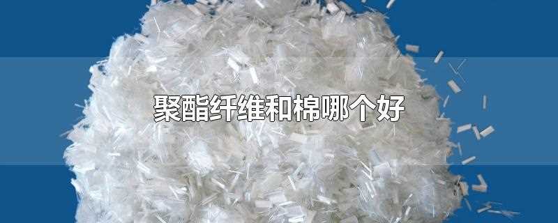 聚酯纤维和棉哪个好(聚酯纤维和棉哪个好床上用品)?