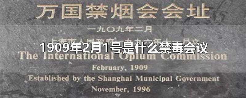 1909年2月1日禁毒会议叫什么(1909年第一次禁毒会议)?