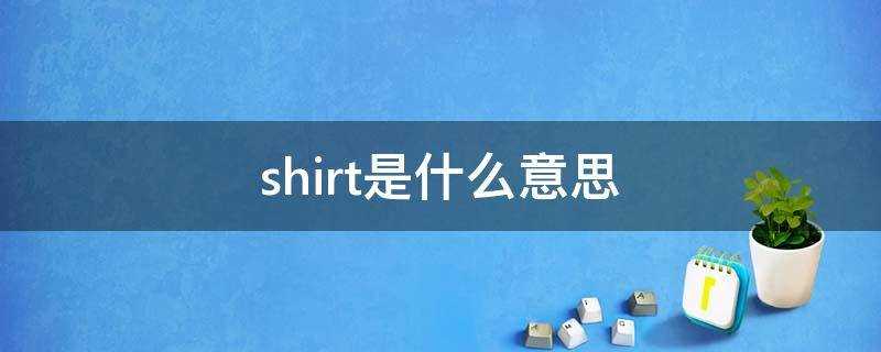 shirt是什么意思中文(t-shirt是什么意思中文)?