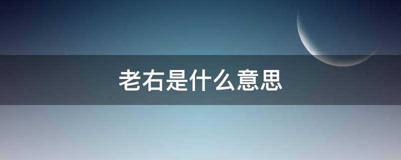 以前老右是什么意思(老右是什么意思?)?