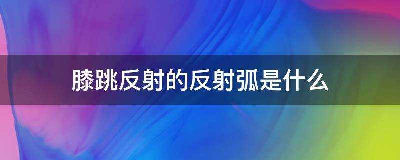 膝跳反应的反射弧是什么?膝跳反射反射弧组成