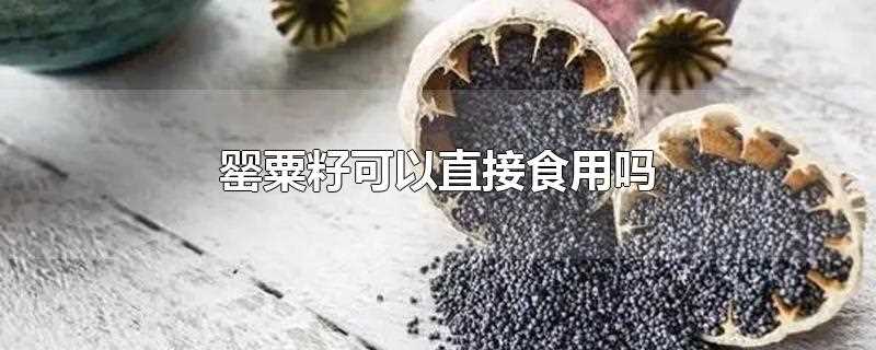 罂粟籽可以吃吗?(罂粟籽的食用方法)