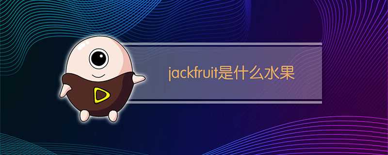 jackfruit是什么水果?jackfruit是什么意思