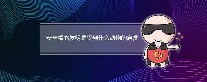 安全帽的发明是受到什么动物的启发?(安全帽是因什么动物而发明)?