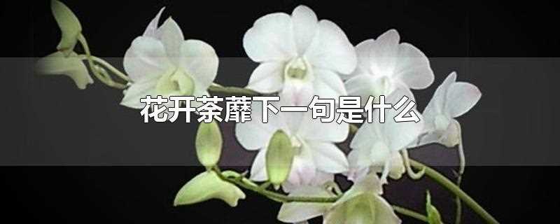 花开荼蘼下一句是什么(花开荼蘼什么意思)?