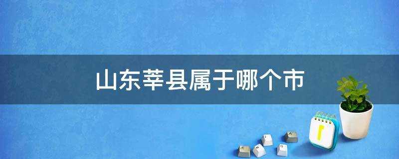 山东莘县属于哪个市地图(山东莘县属于哪个市管)?