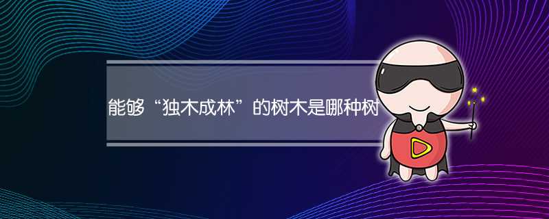 什么树能够独木成林(乔木林包括什么树)?