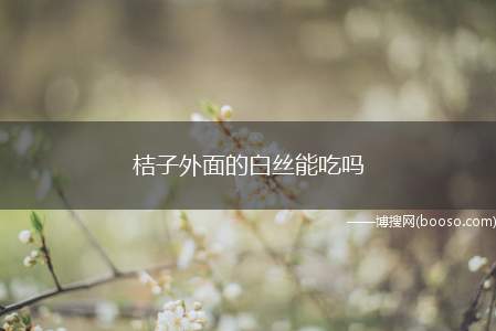 桔子外面的白丝能吃吗