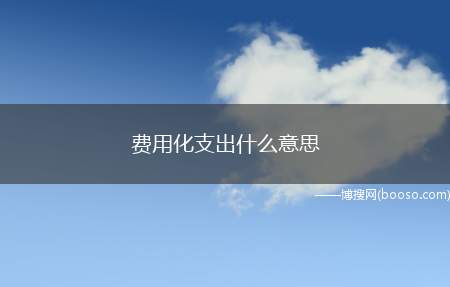 费用化支出什么意思（费用化支出是什么意思）